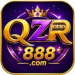 QZR 888 Game